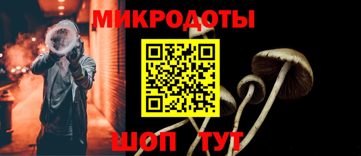 Галлюциногенные грибы MAGIC MUSHROOMS  дарнет шоп  Братск  Галлюциногенные грибы Magic Shrooms  Вход с VPN 