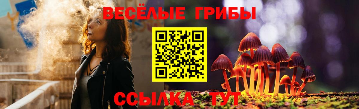 Псилоцибиновые грибы Magic Shrooms Братск