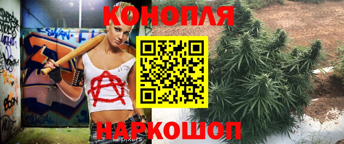 Марихуана Amnesia  Вход с VPN  Бошки марихуана тримм  Марихуана SATIVA & INDICA  Братск 